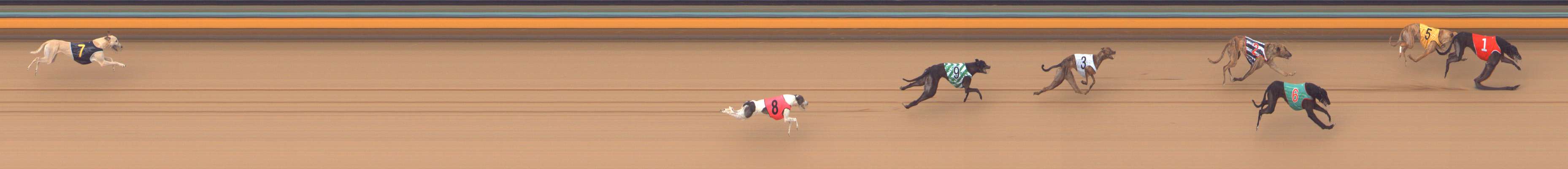Photo finish for Bendigo Race 13