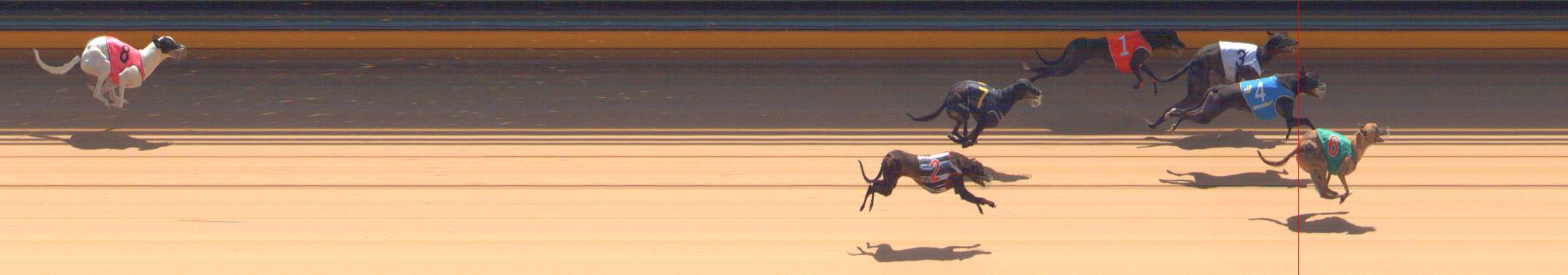 Photo finish for Bendigo Race 3