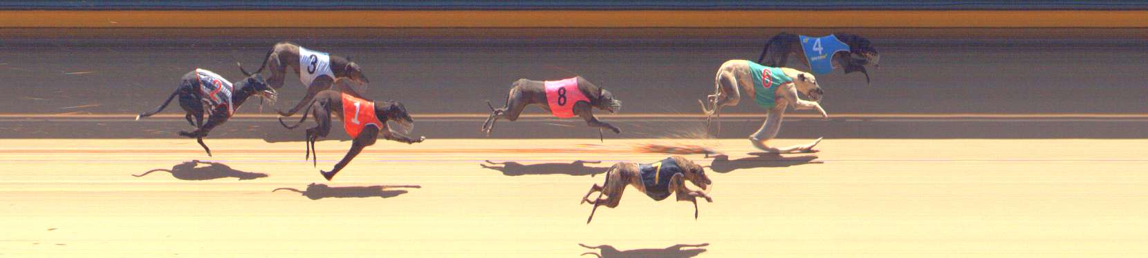 Photo finish for Bendigo Race 4