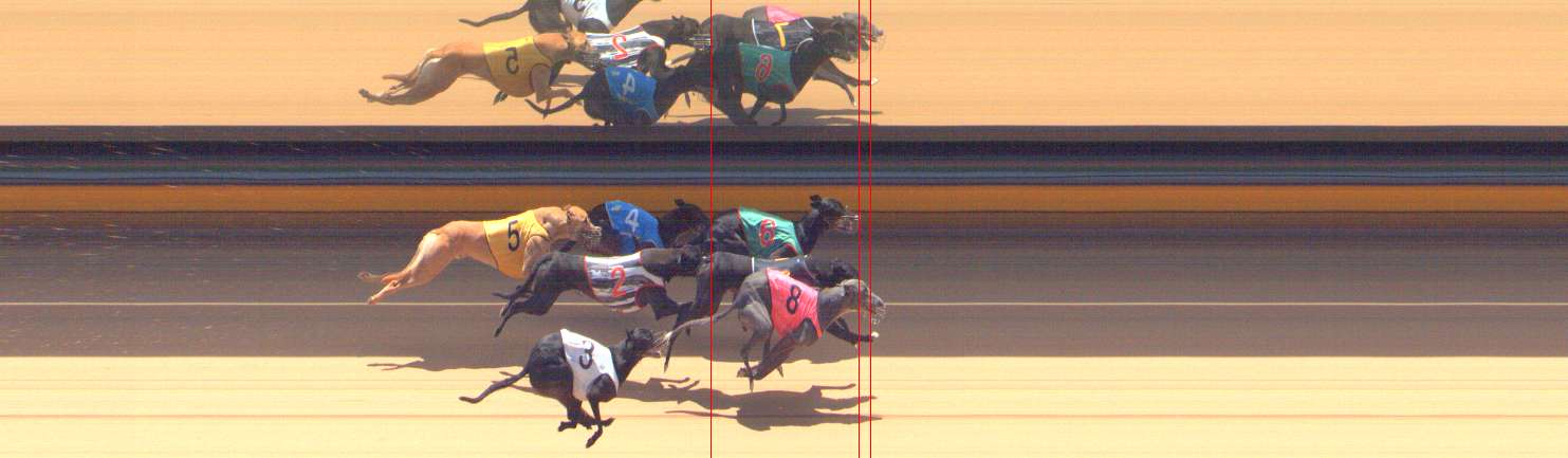 Photo finish for Bendigo Race 6