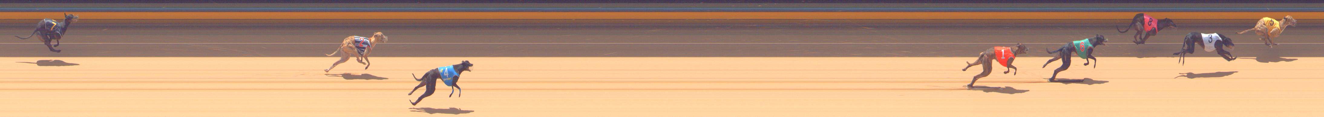Photo finish for Bendigo Race 7