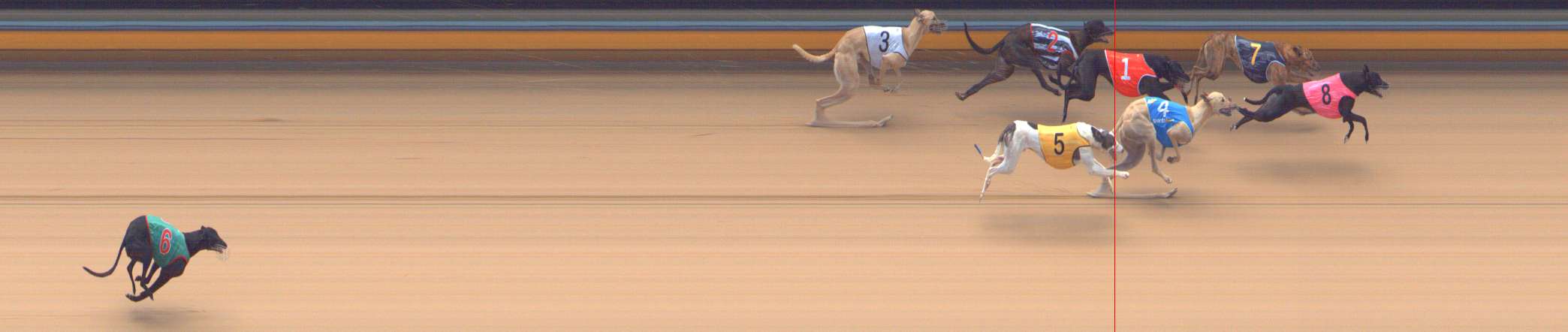 Photo finish for Bendigo Race 8