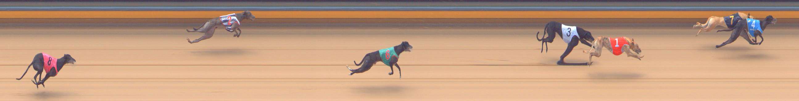 Photo finish for Bendigo Race 9