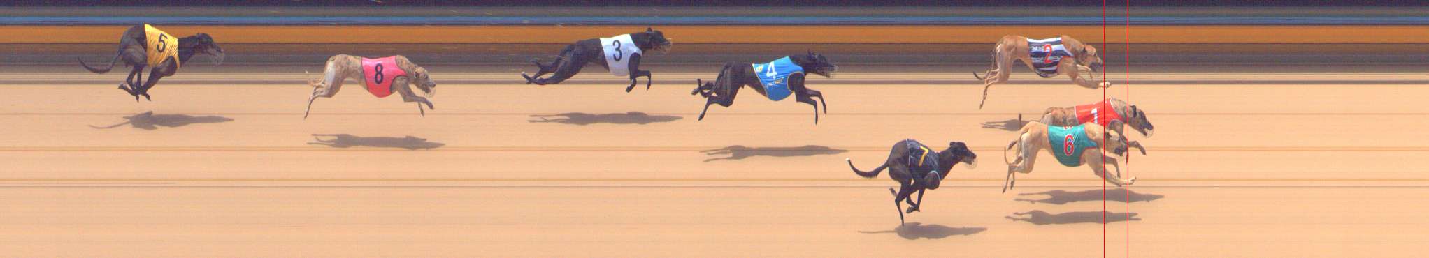 Photo finish for Bendigo Race 10