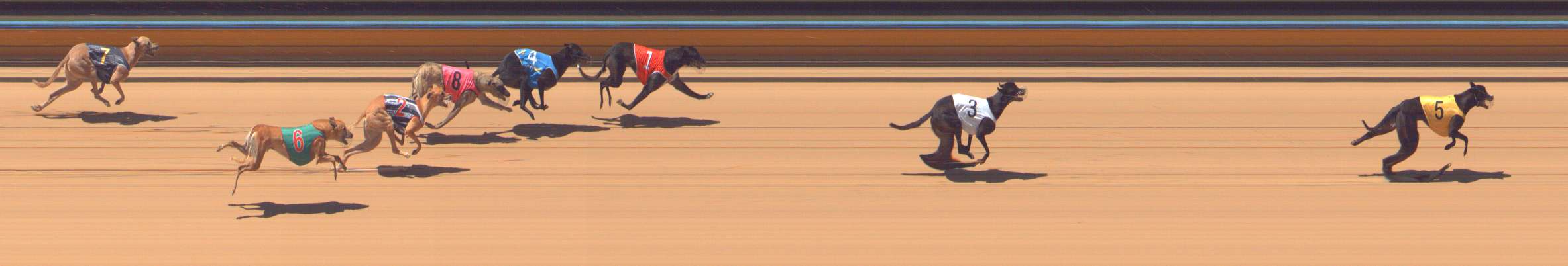 Photo finish for Bendigo Race 12