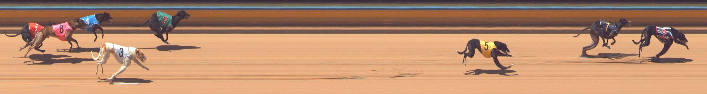 Photo finish for Bendigo Race 13