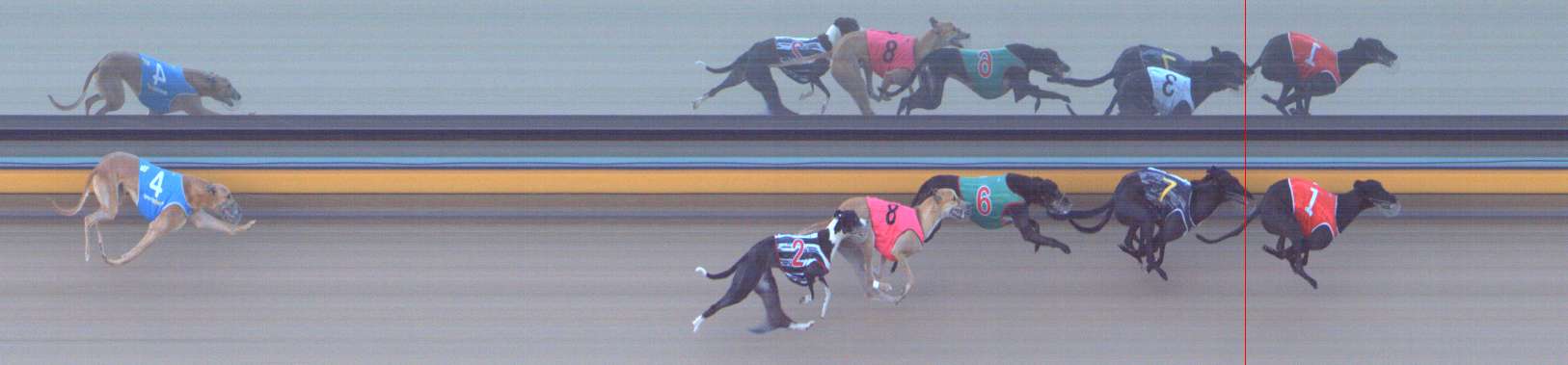 Photo finish for Bendigo Race 3