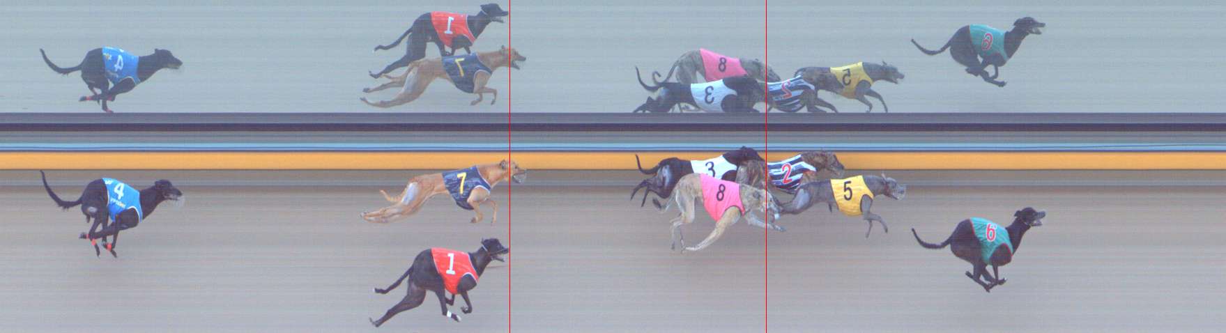 Photo finish for Bendigo Race 4