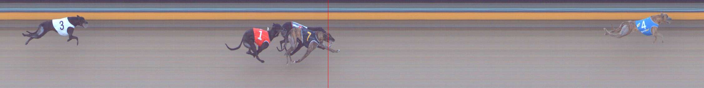 Photo finish for Bendigo Race 5