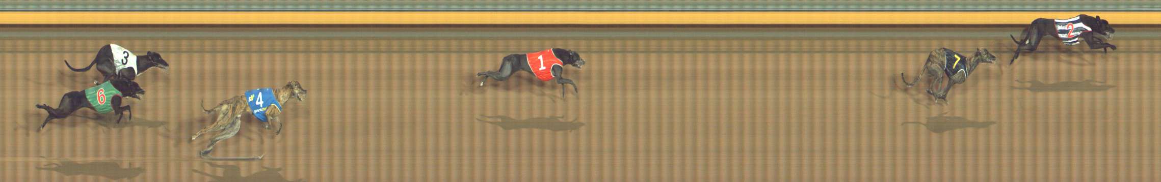 Photo finish for Bendigo Race 7