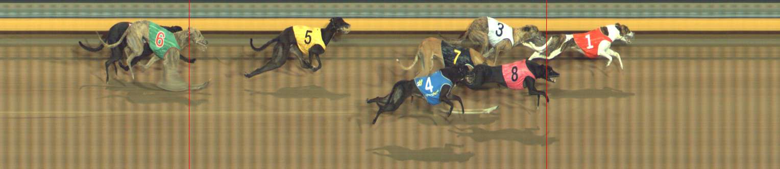 Photo finish for Bendigo Race 8