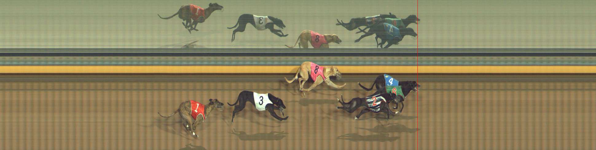 Photo finish for Bendigo Race 9
