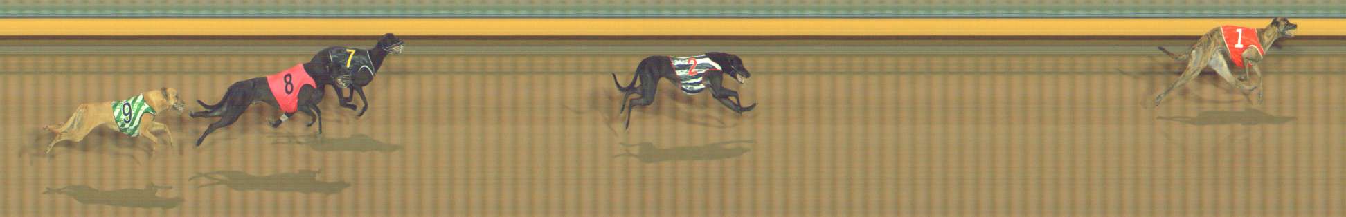 Photo finish for Bendigo Race 11