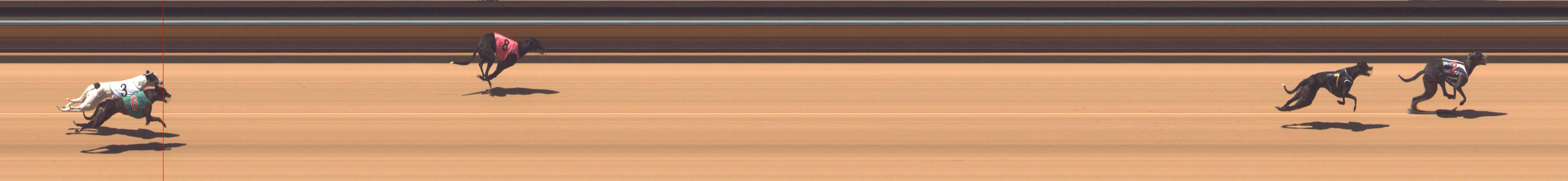 Photo finish for Bendigo Race 2