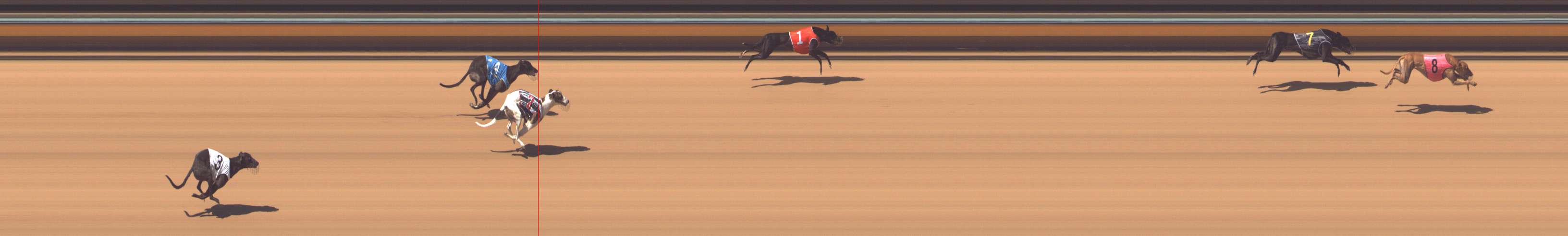 Photo finish for Bendigo Race 5