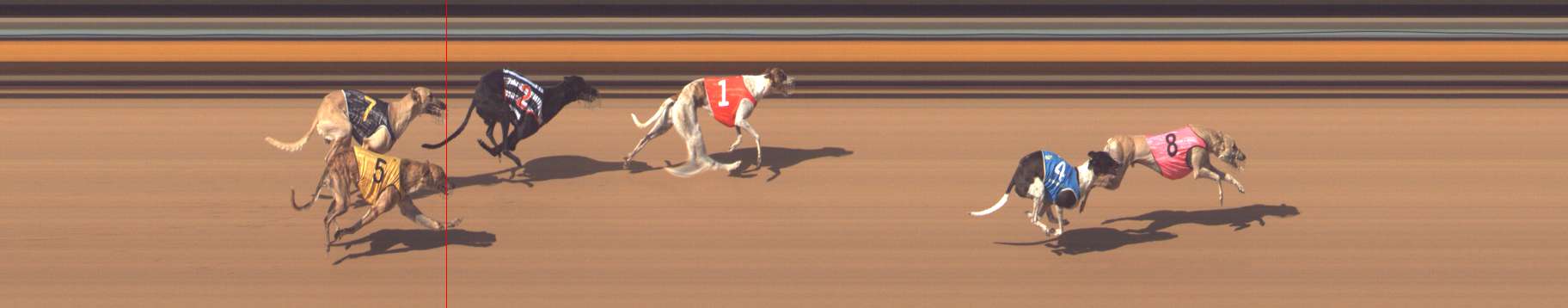 Photo finish for Bendigo Race 8