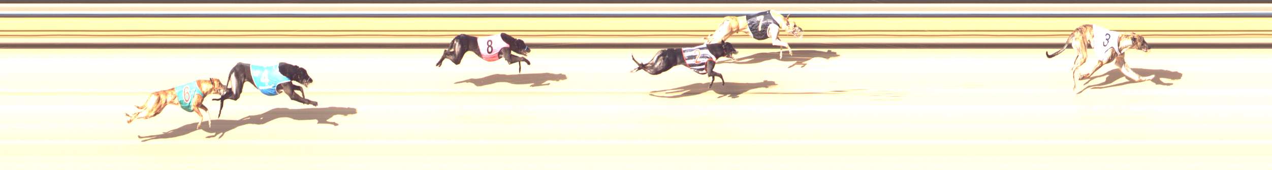 Photo finish for Bendigo Race 10