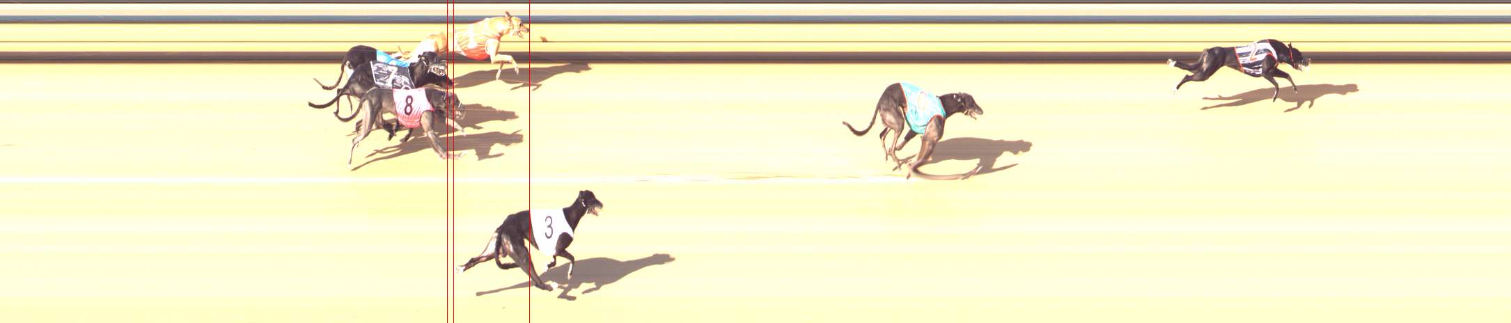 Photo finish for Bendigo Race 11