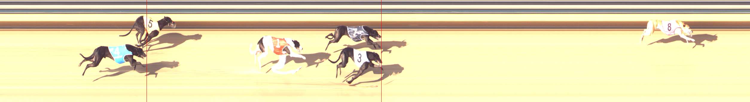 Photo finish for Bendigo Race 12