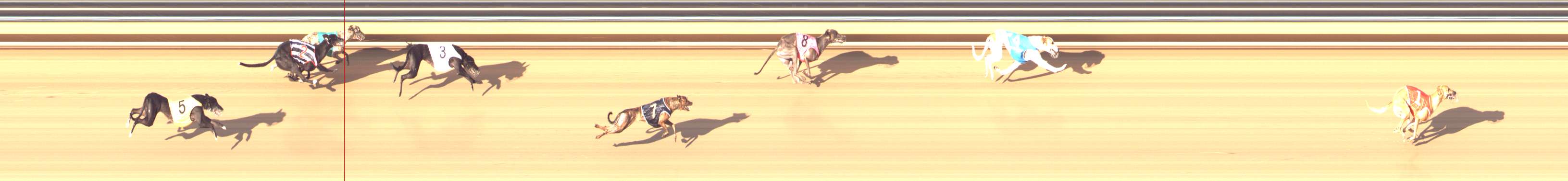 Photo finish for Bendigo Race 13