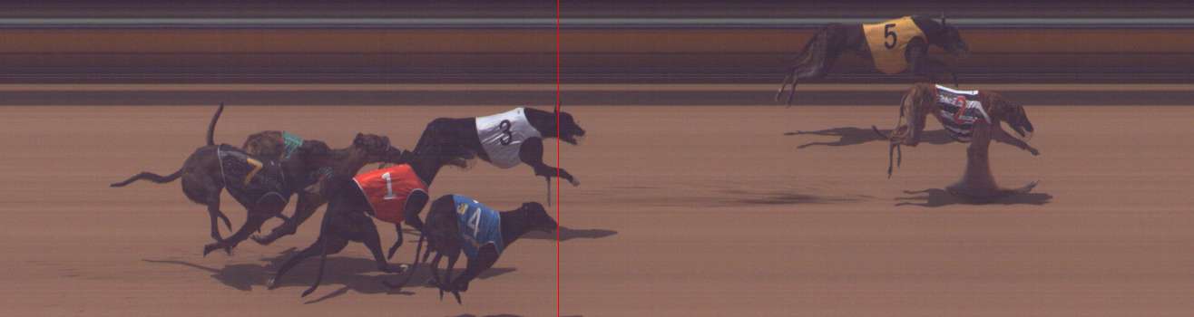 Photo finish for Bendigo Race 1