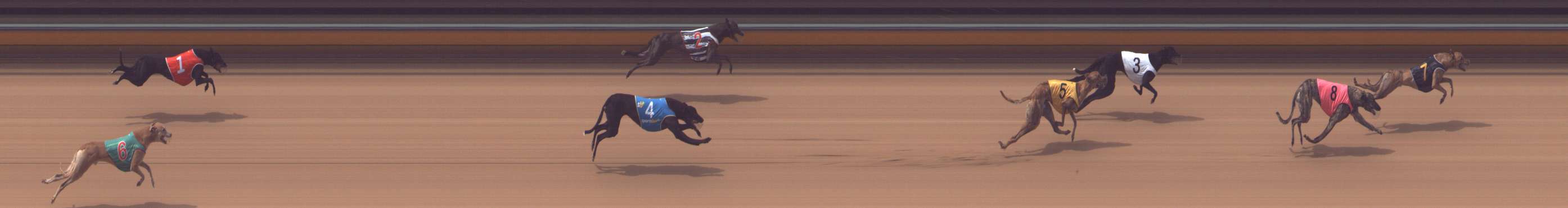 Photo finish for Bendigo Race 2
