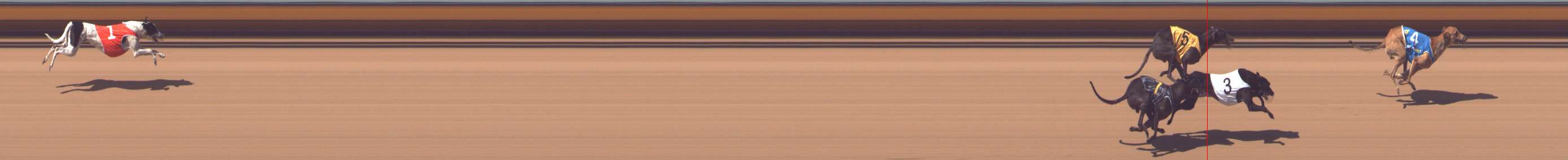 Photo finish for Bendigo Race 5