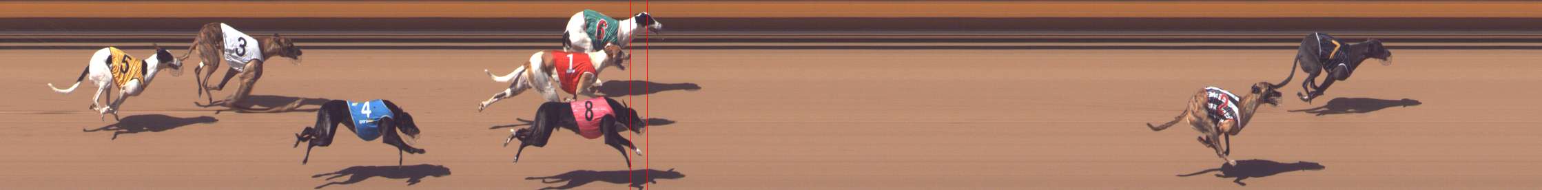 Photo finish for Bendigo Race 6