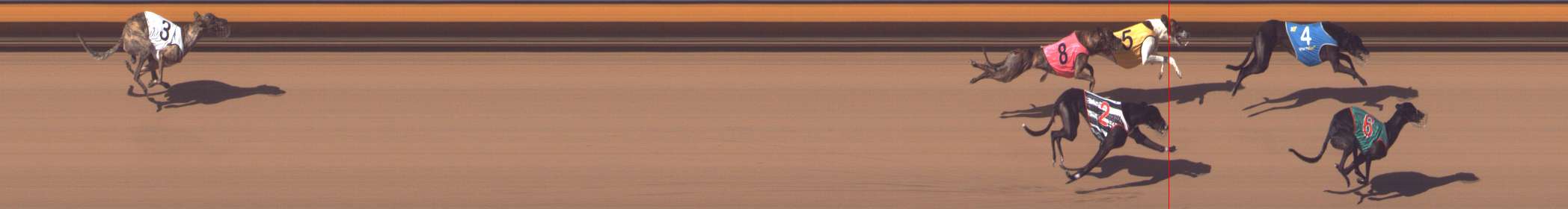 Photo finish for Bendigo Race 8