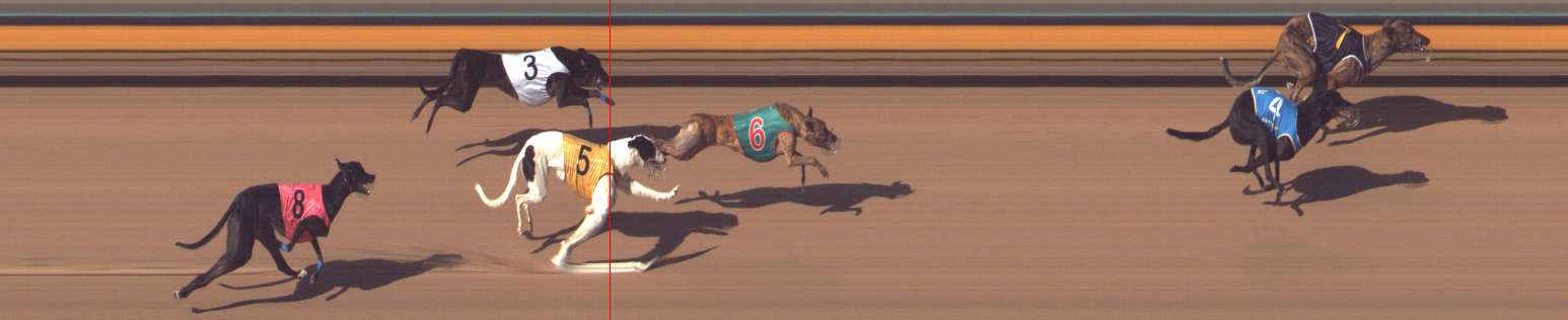 Photo finish for Bendigo Race 9