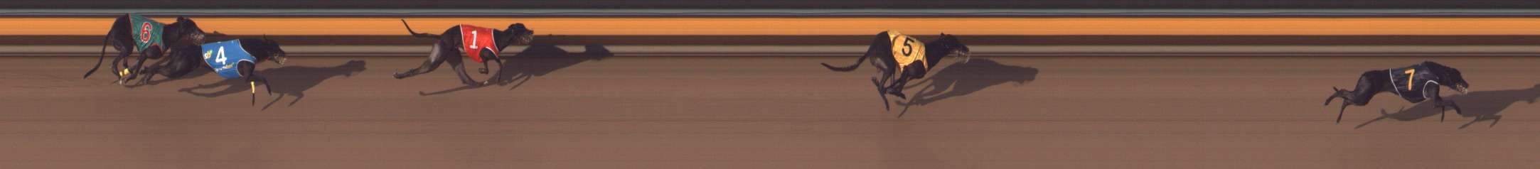 Photo finish for Bendigo Race 12