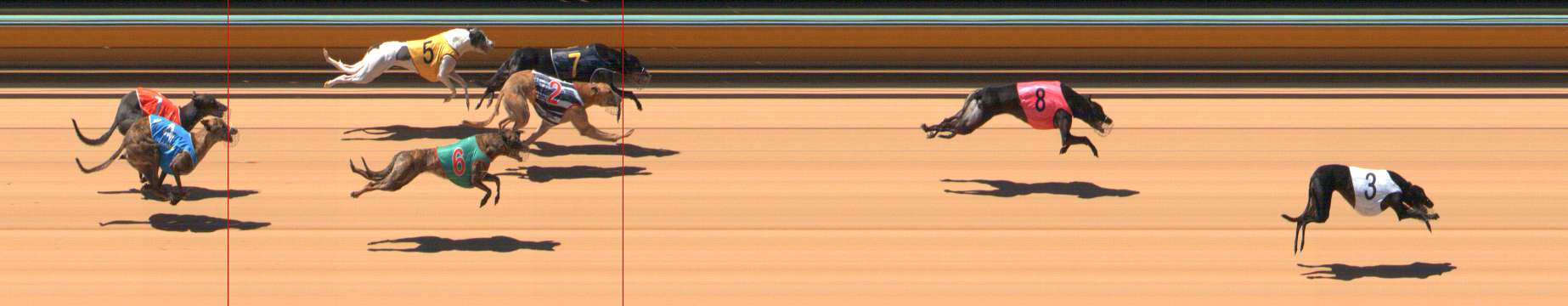 Photo finish for Bendigo Race 1