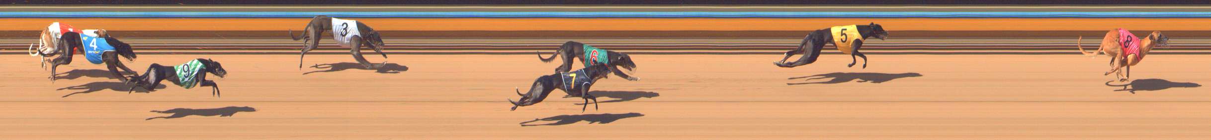 Photo finish for Bendigo Race 6
