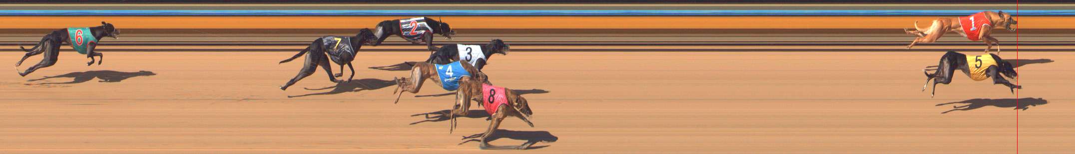 Photo finish for Bendigo Race 7