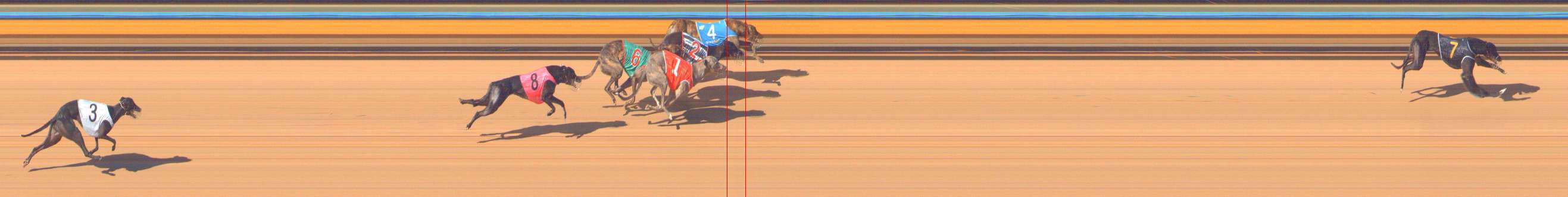 Photo finish for Bendigo Race 8