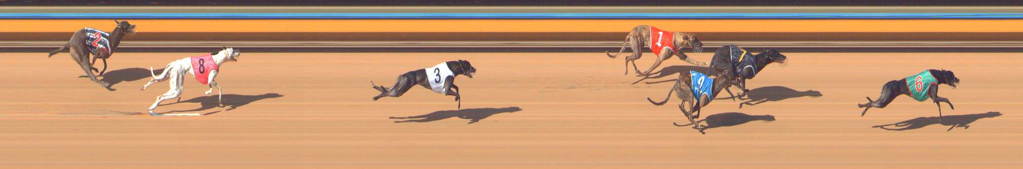 Photo finish for Bendigo Race 9