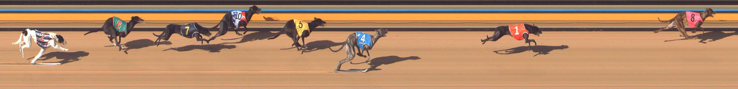 Photo finish for Bendigo Race 10