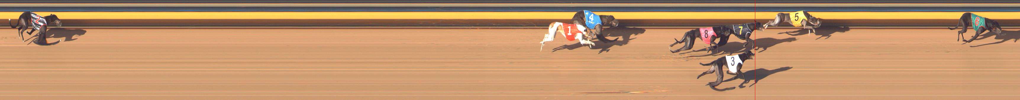 Photo finish for Bendigo Race 12