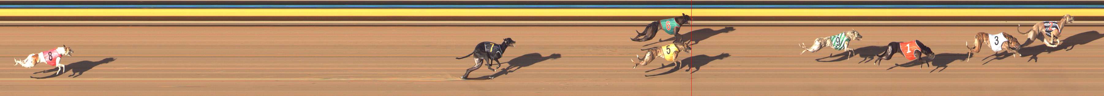 Photo finish for Bendigo Race 13