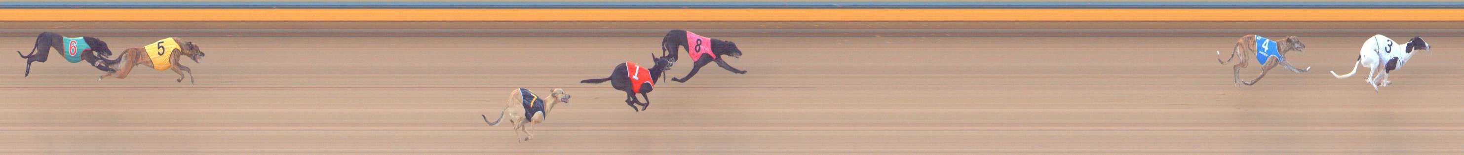 Photo finish for Bendigo Race 1