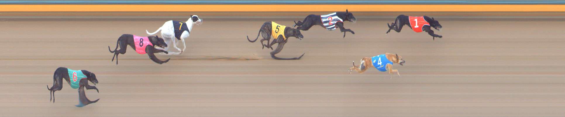 Photo finish for Bendigo Race 2
