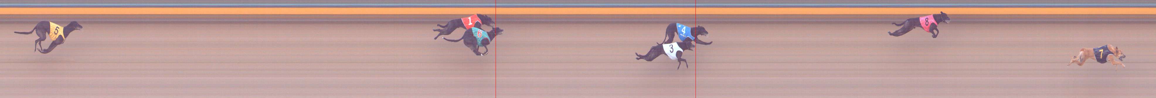 Photo finish for Bendigo Race 3
