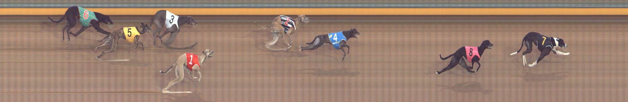 Photo finish for Bendigo Race 4