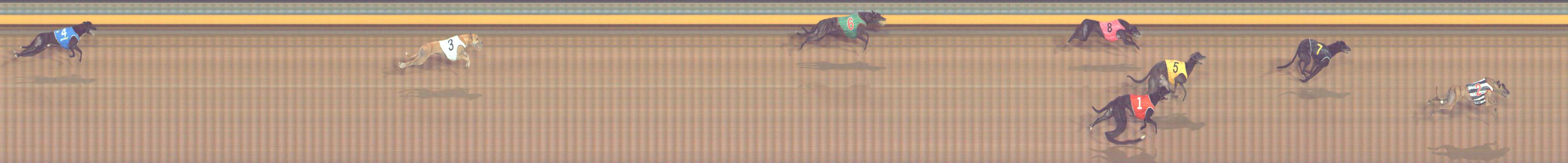Photo finish for Bendigo Race 5