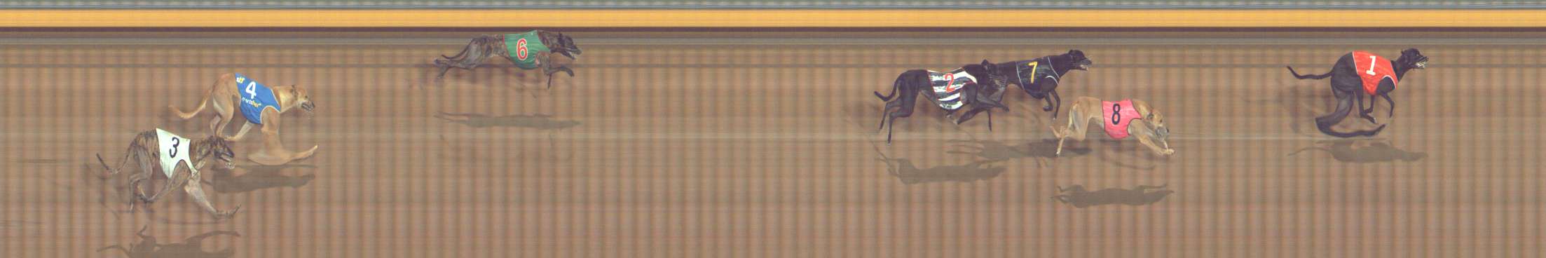 Photo finish for Bendigo Race 7