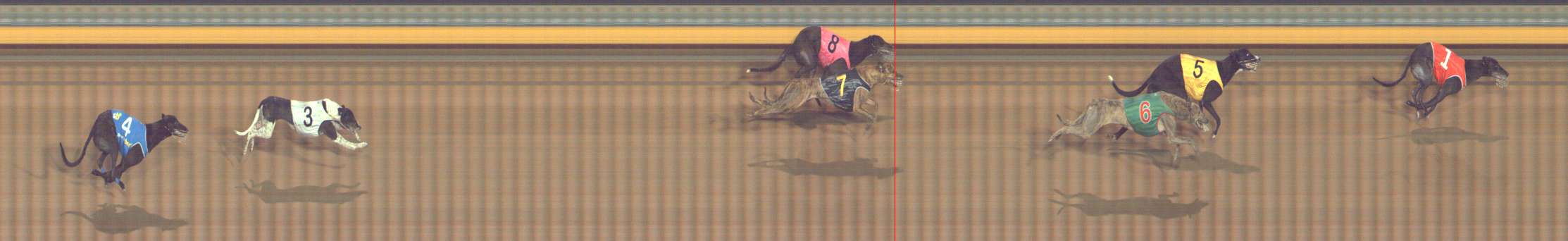 Photo finish for Bendigo Race 8