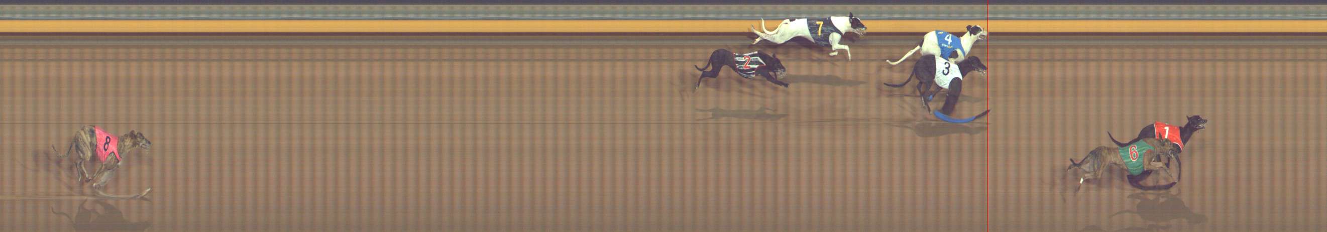 Photo finish for Bendigo Race 10