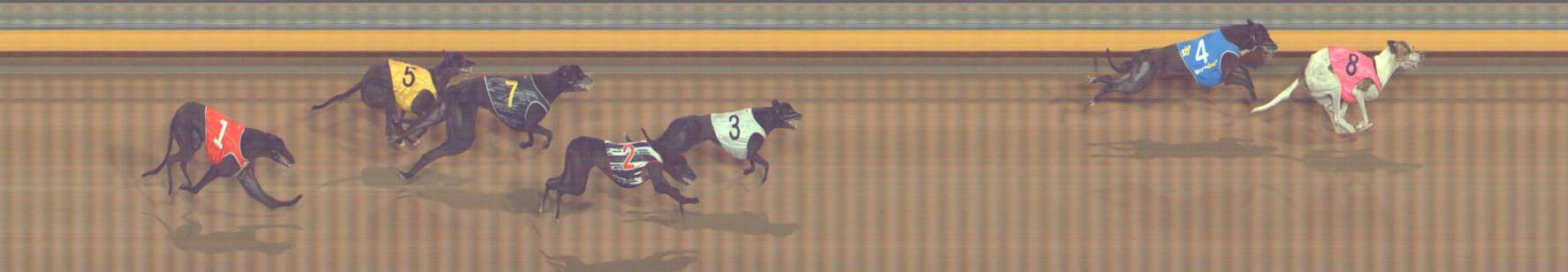 Photo finish for Bendigo Race 11