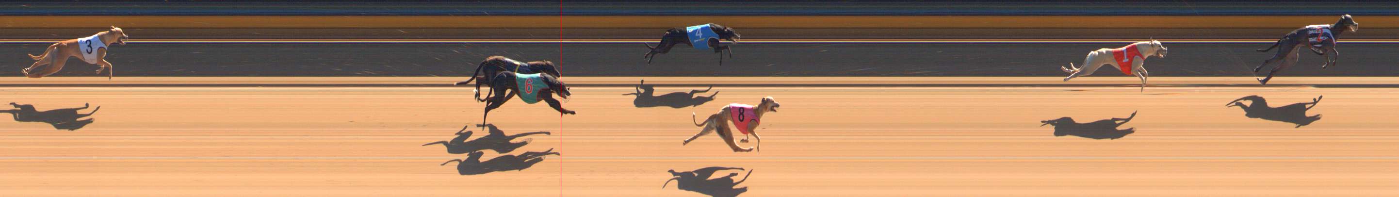 Photo finish for Bendigo Race 1
