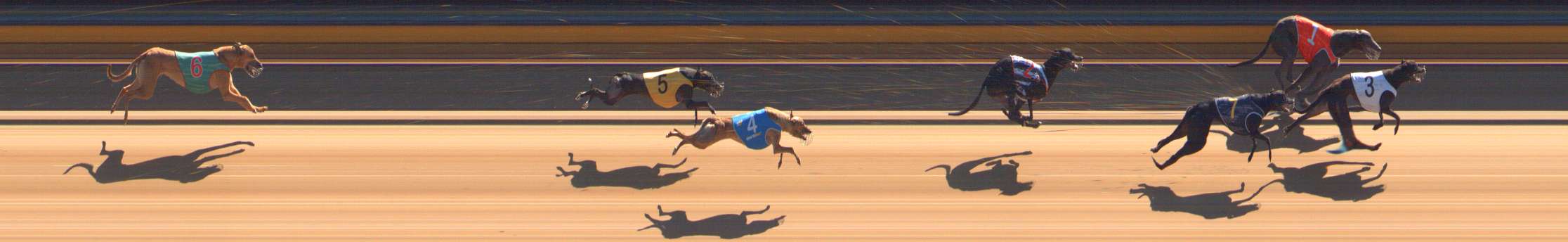 Photo finish for Bendigo Race 2
